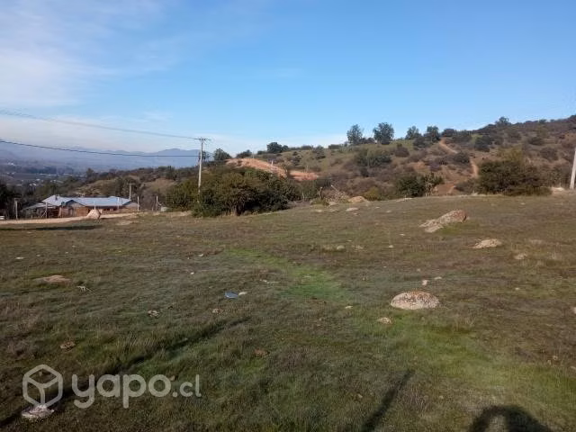 Parcela en pilares verdes