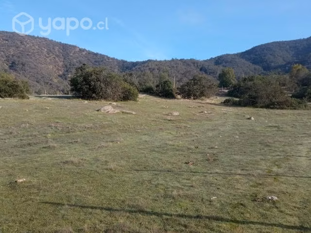 Parcela en pilares verdes