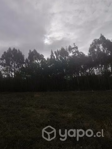Terreno en quemchi precio conversable