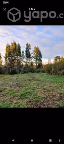 LINDA PARCELA INTERIOR 6000m2 en BULNES, SECTOR CA - Imagen 10