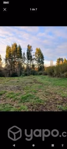LINDA PARCELA INTERIOR 6000m2 en BULNES, SECTOR CA - Imagen 4