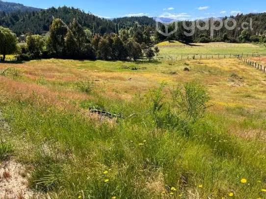 Terreno 1.6 hectarea-nacimiento-sector palmilla