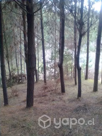 Preciosa parcela a orilla de río totalmente privad