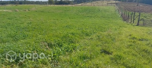 Terreno en Chiloé Quemchi