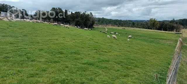 Terreno en Chiloé Quemchi
