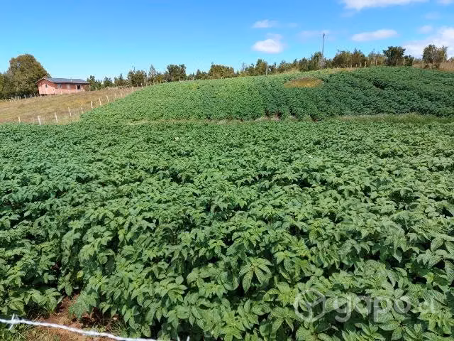 Terreno en Chiloé Quemchi