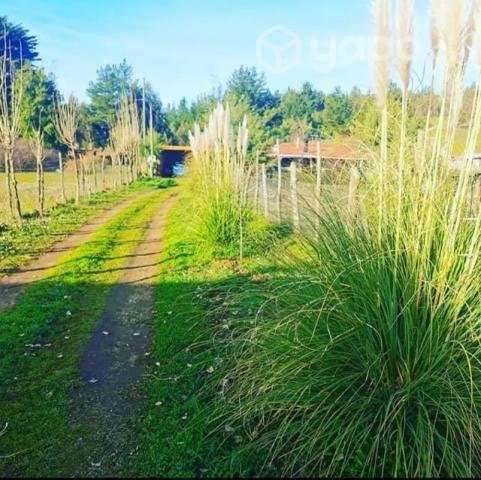 Hermosa parcela de 7.500 m2 - Imagen 5