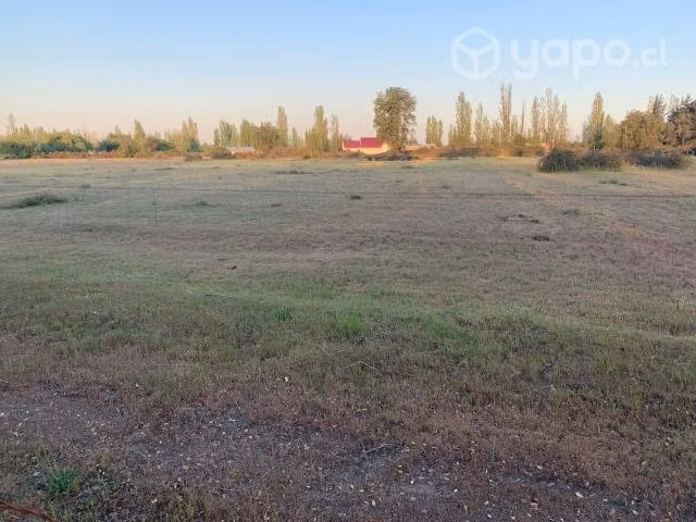 Vendo parcela con cabaña autosustentable