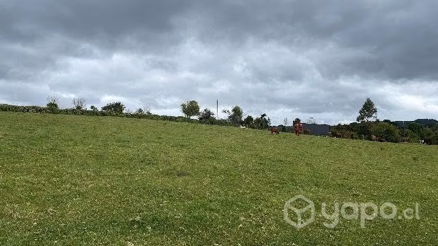 Terreno con vista al Río Quenuir y Mar - Imagen 7