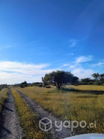 Parcela cercana a Chillan - Imagen 8
