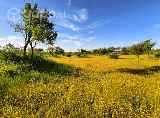 Parcela cercana a Chillan - Imagen 2