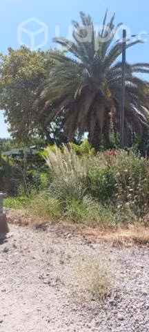 Casa con terreno