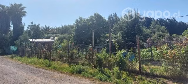 Casa con terreno