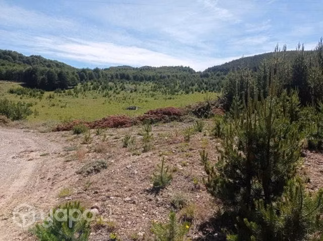 Terreno de 57.28ha en Lago Castor - Imagen 19