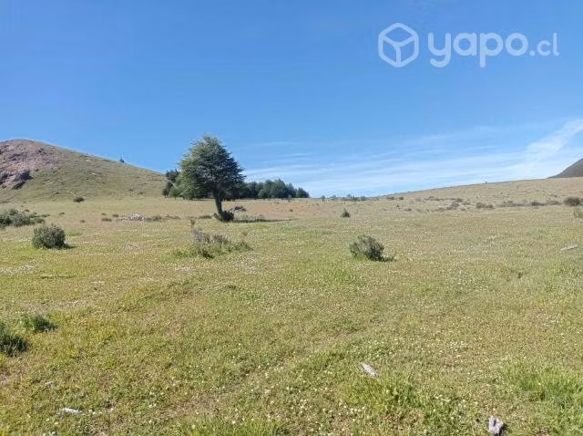 Terreno de 57.28ha en Lago Castor - Imagen 10
