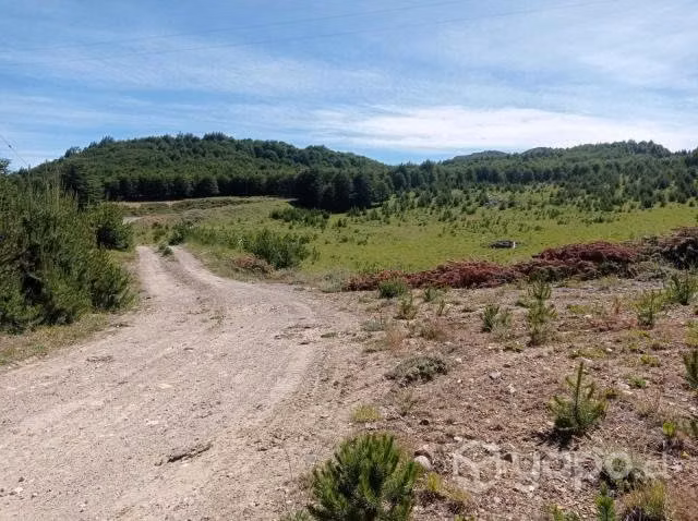 Terreno de 57.28ha en Lago Castor - Imagen 18