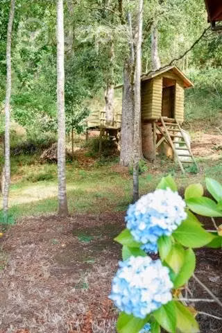 Arriendo cabaña en caburgua
