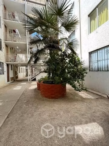 Departamento la serena
