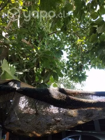 Casa en cerro navia