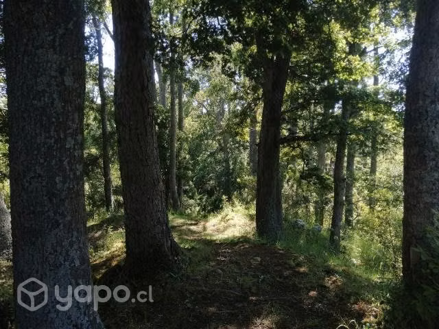 Parcela - Imagen 7