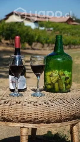 Casa Algarrobal