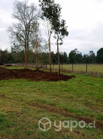 Venta de 2 Parcelas En Frutillar