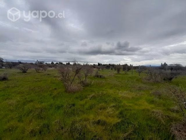 Parcela 5000 mtrs - Imagen 3