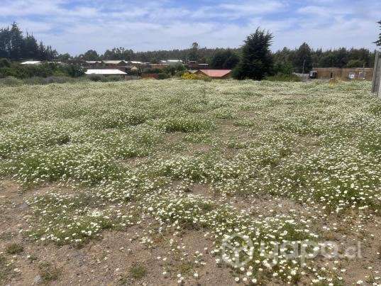 Vendo Cesión de Derechos terrenos - Imagen 5