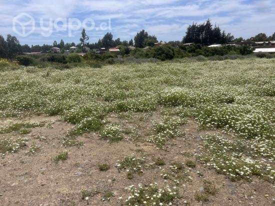 Vendo Cesión de Derechos terrenos - Imagen 6