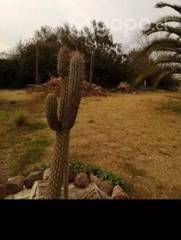 Casa grande en amplio espacio natural - Imagen 12