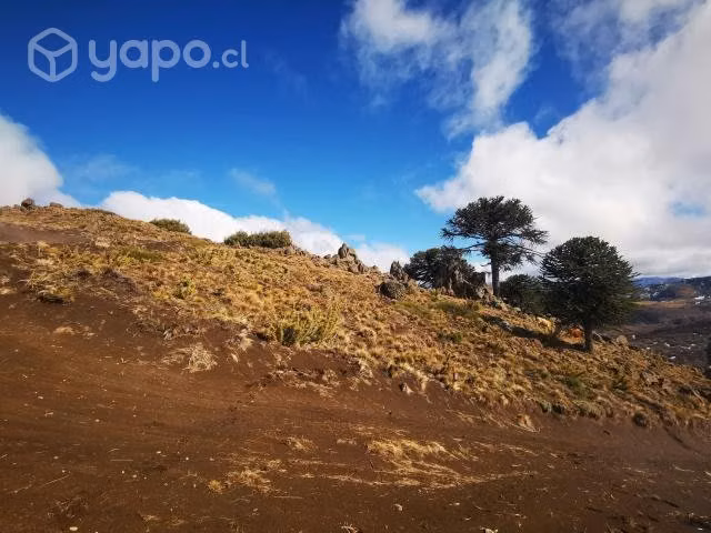 Terreno en lonquimay
