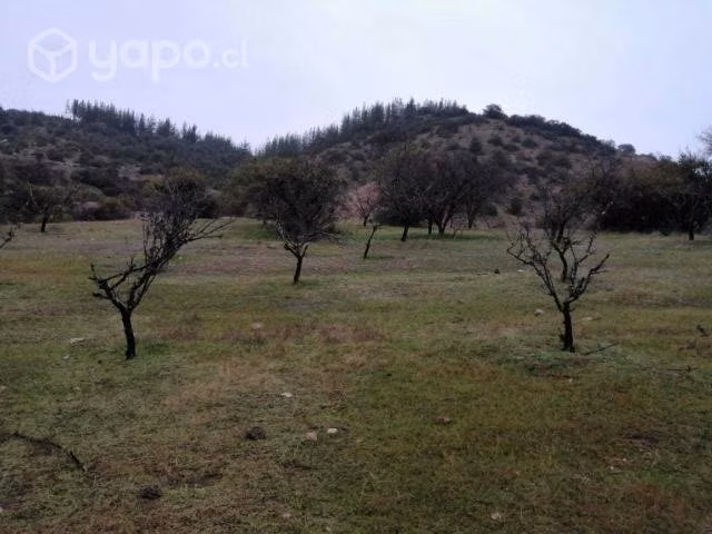 Parcela de 5000m2 en lomas de peralillo