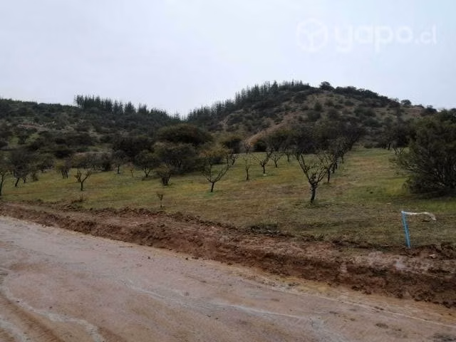 Parcela de 5000m2 en lomas de peralillo