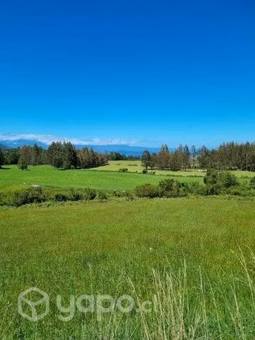 En venta parcela con vista al Lago Ranco (Futrono)