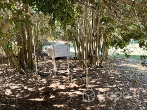 Se vende 1.5 hectáreas con casa patronal - Imagen 3