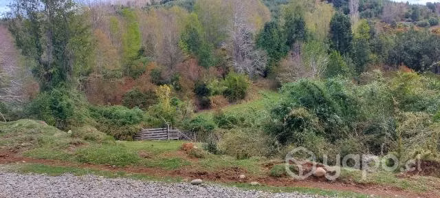 Campo con calidad indijena en villarrica