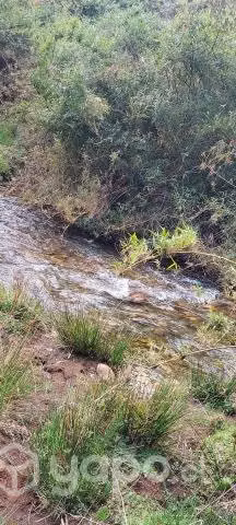 Campo con calidad indijena en villarrica