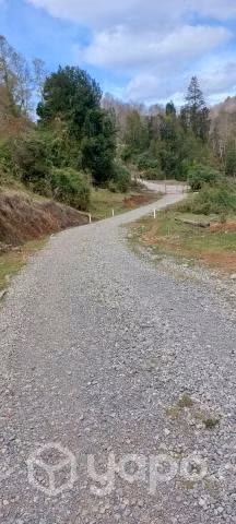Campo con calidad indijena en villarrica