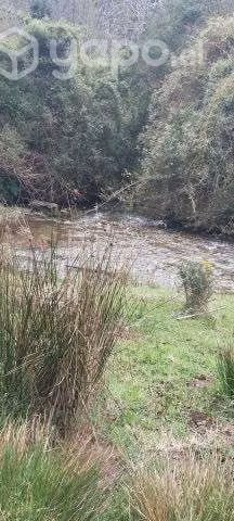 Campo con calidad indijena en villarrica