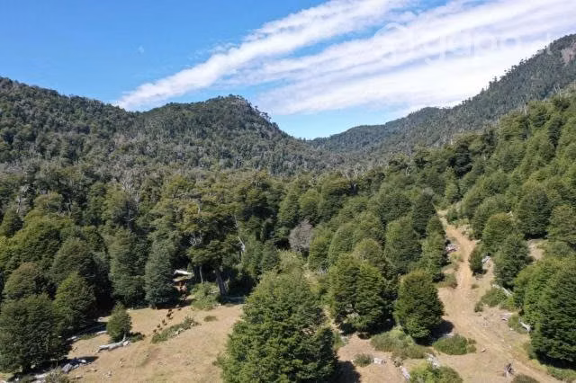 Parcela sector cordillerano - Imagen 4