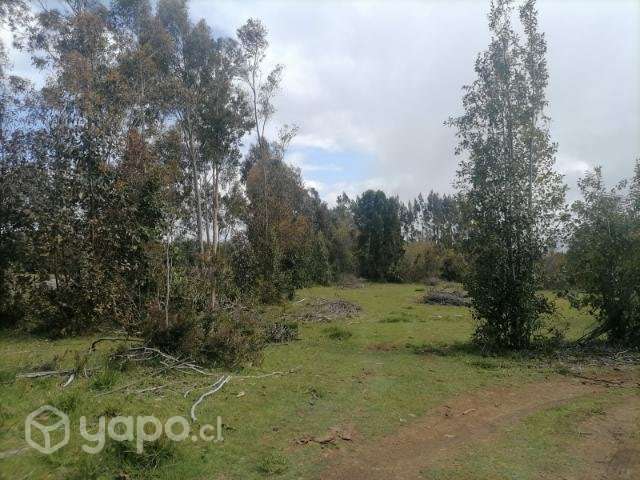 Sitio 600 mts2 sector Puaucho - Imagen 2