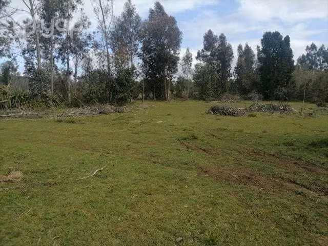 Sitio 600 mts2 sector Puaucho