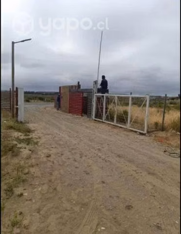 Terreno con cabaña Tongoy - Imagen 3