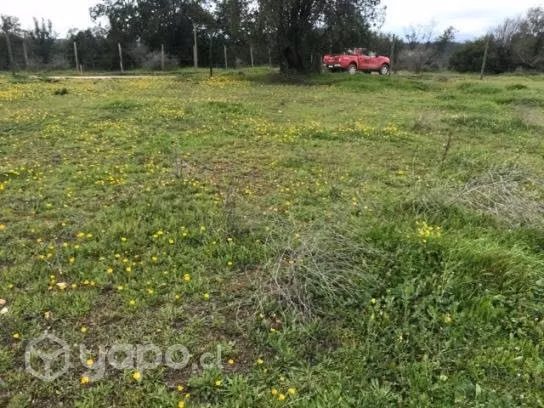 Hermosa parcela en Rapel con vista al lago