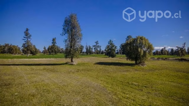 Campo Los Lingues - Osorno