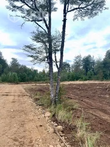 Hermosas parcelas Proyecto La Luma