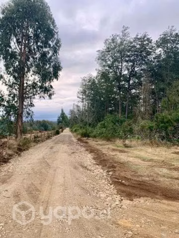 Hermosas parcelas Proyecto La Luma