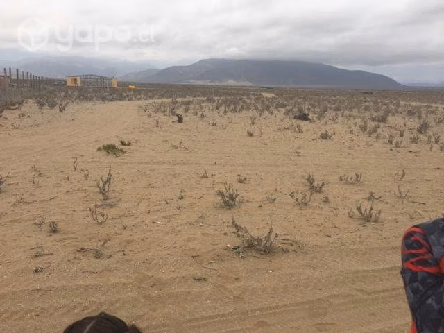 Parcela 5.000 mt2, Punta de Choro