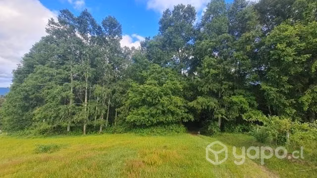 Terreno en Lanco - Imagen 7