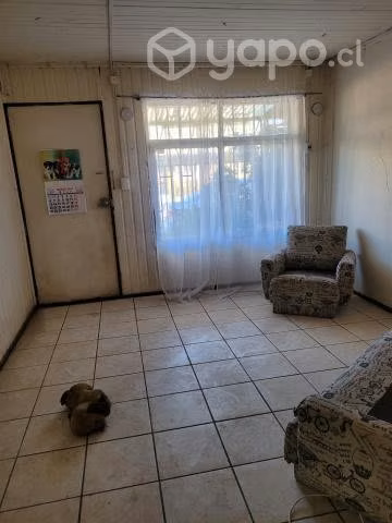 Vende su dueño - Imagen 5